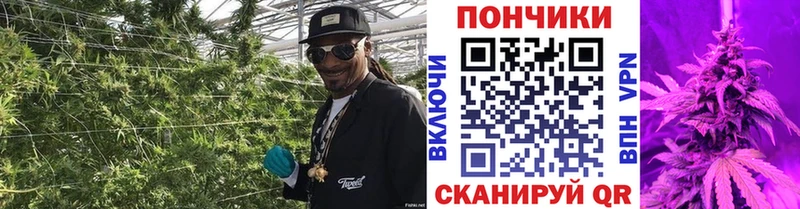 Бошки марихуана VHQ сколько стоит Алагир